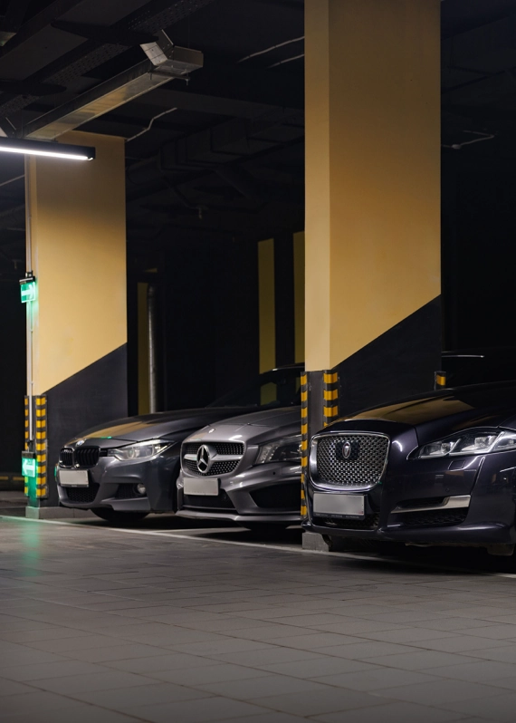 Фотография 3